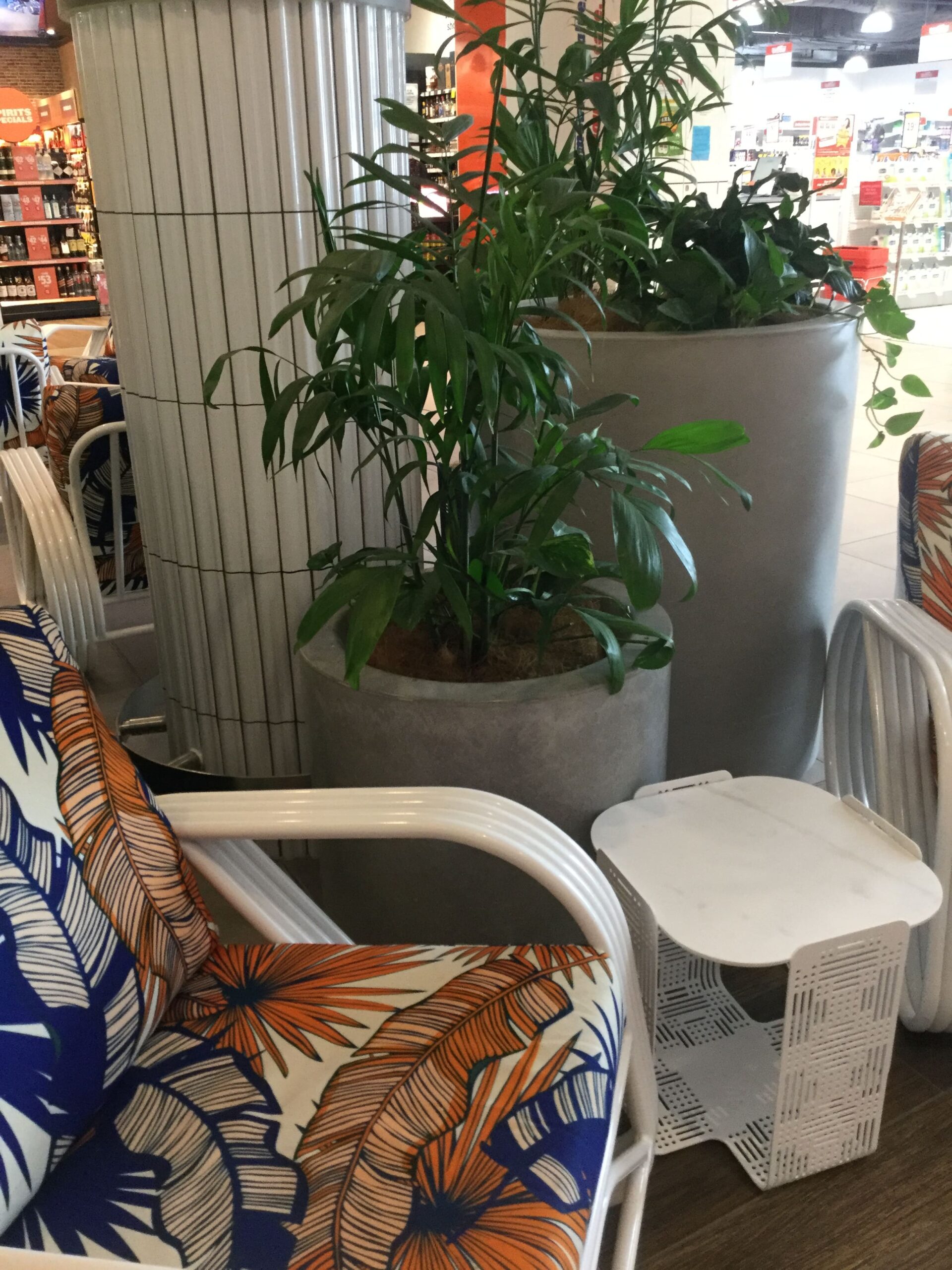 Plant in a shopping centre canteen.