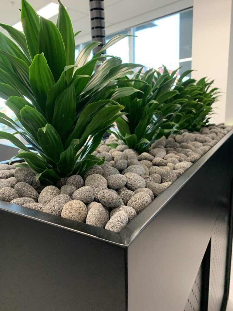 office plant hire