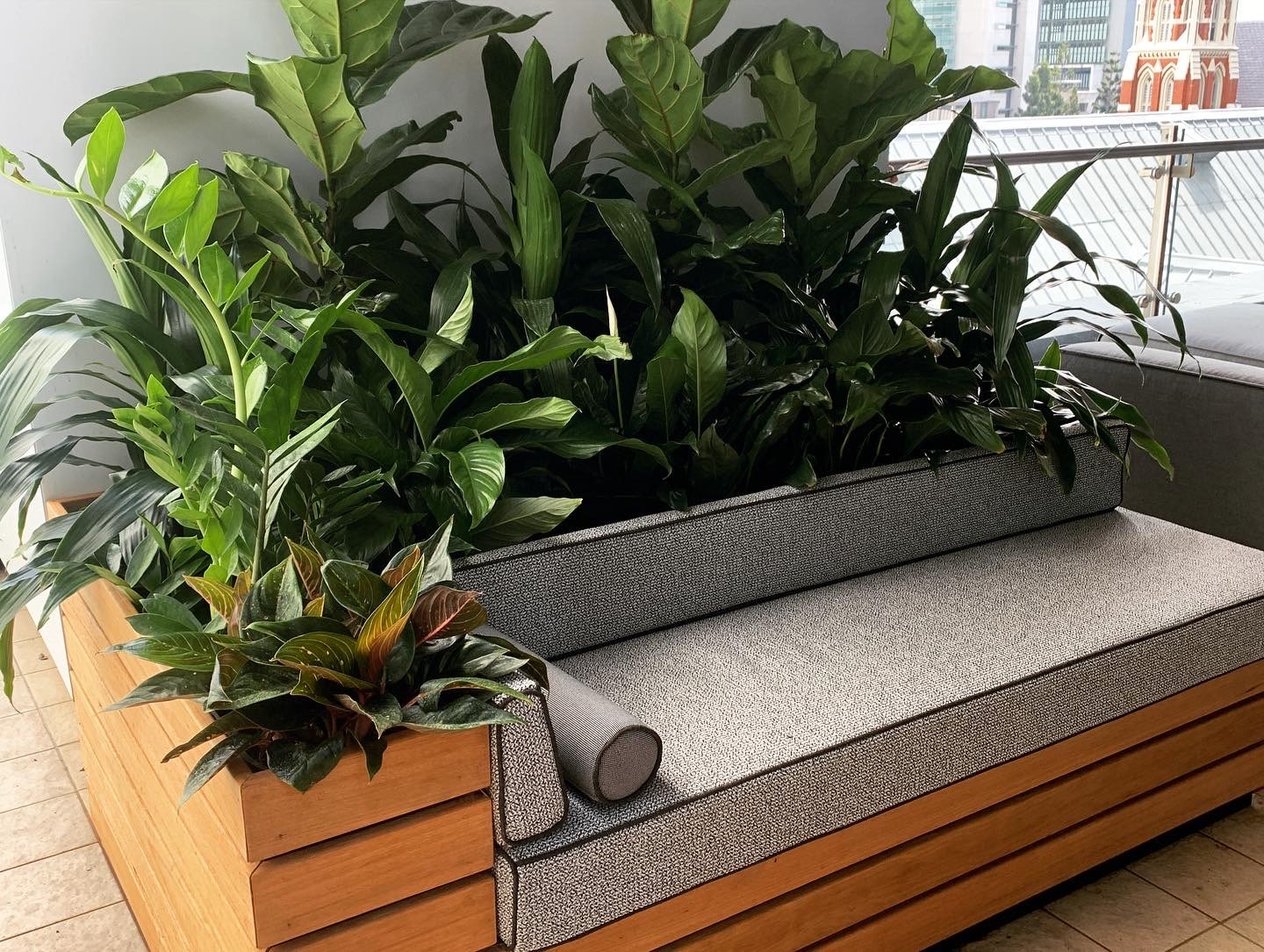 Plant by a seat in an office.