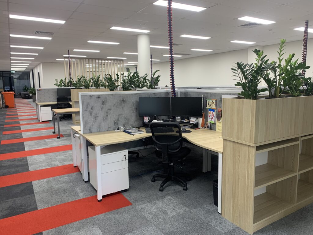 indoor plant hire for offices