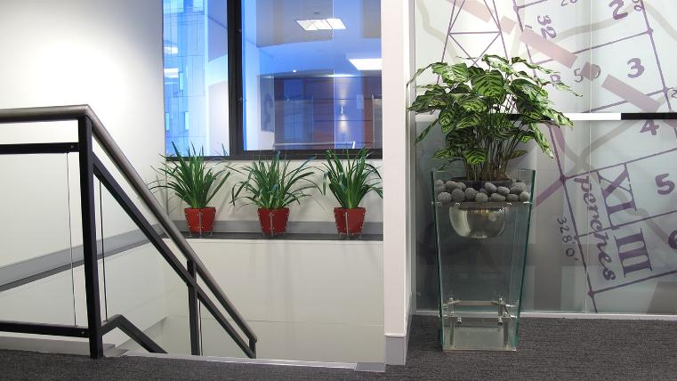 Top of staircase in office with greenery in pots on a stand and under the window